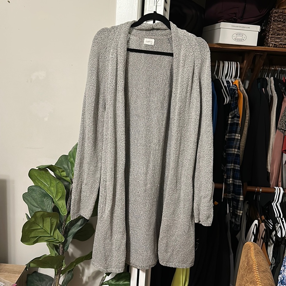 Gray Aritiza Cardigan (Vetus Sweater)